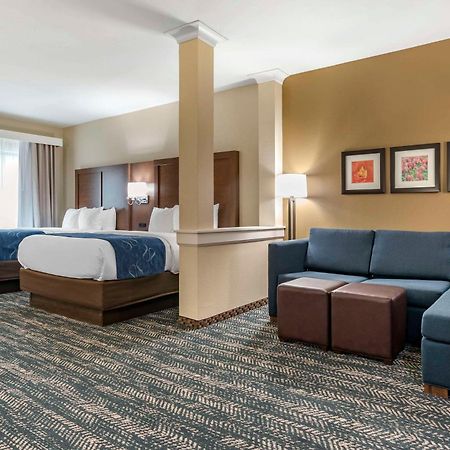 Comfort Inn & Suites Downtown Near University タスカルーサ エクステリア 写真