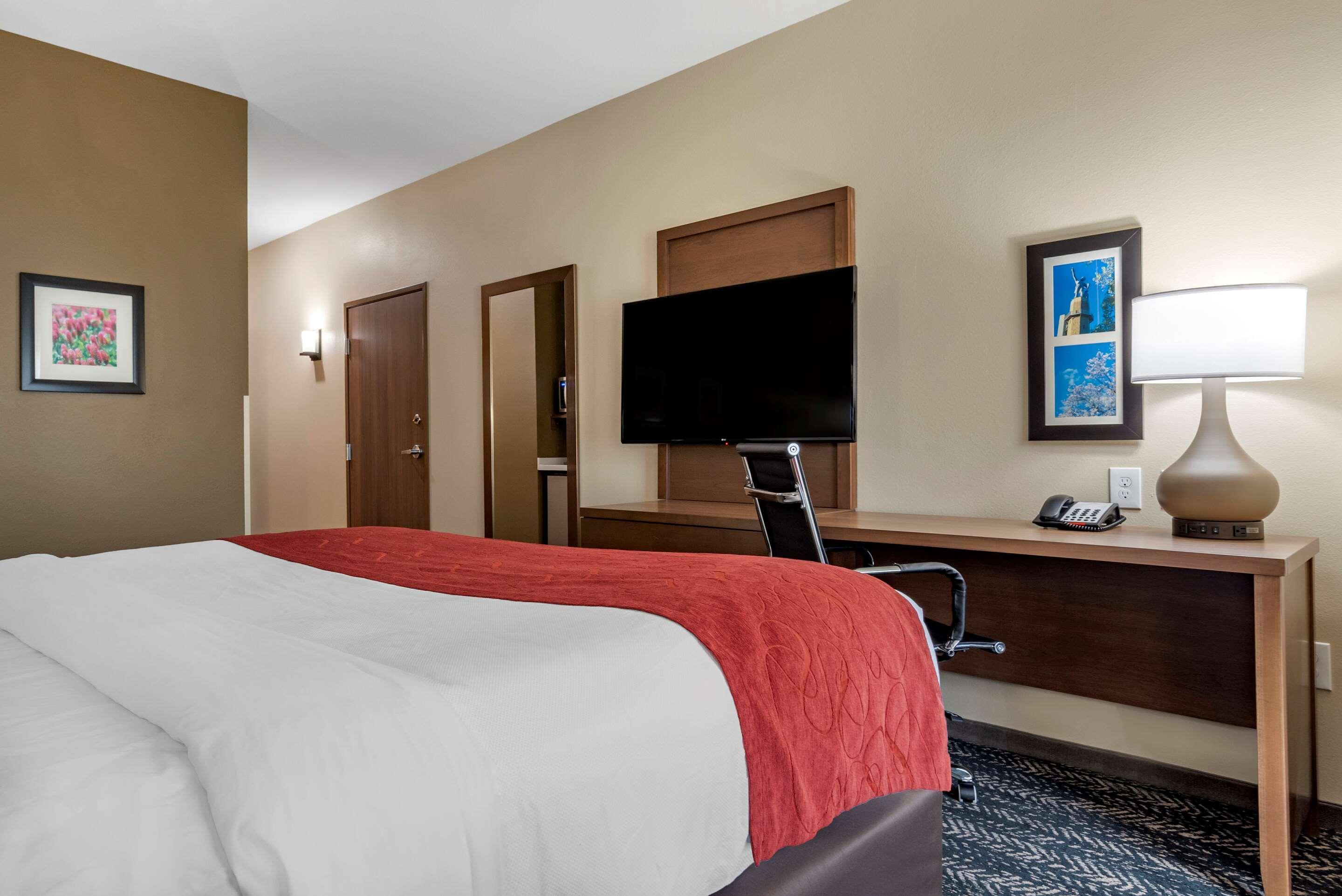 Comfort Inn & Suites Downtown Near University タスカルーサ エクステリア 写真