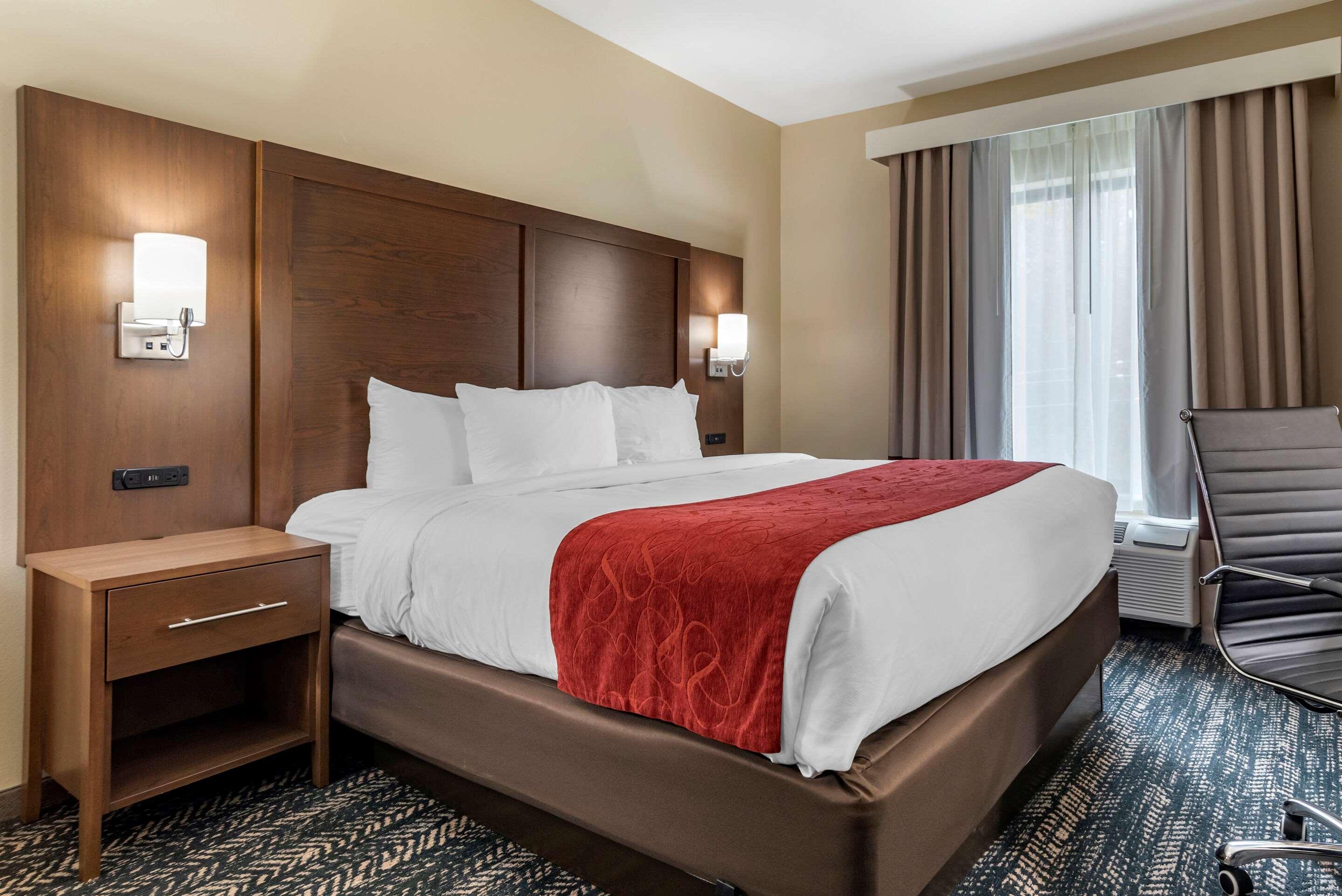 Comfort Inn & Suites Downtown Near University タスカルーサ エクステリア 写真