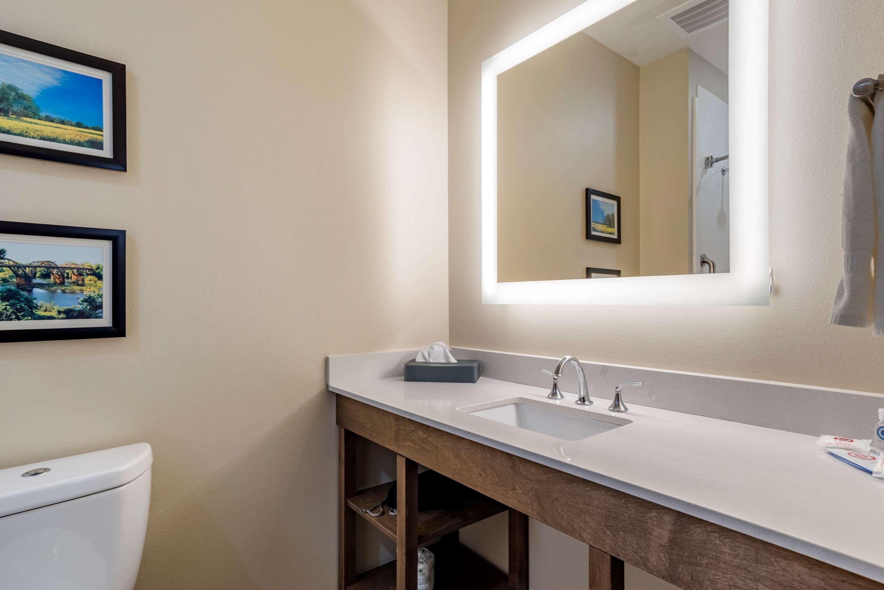 Comfort Inn & Suites Downtown Near University タスカルーサ エクステリア 写真