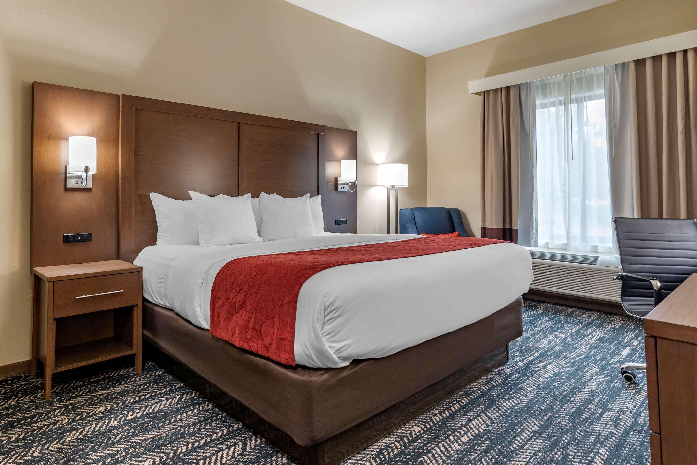 Comfort Inn & Suites Downtown Near University タスカルーサ エクステリア 写真