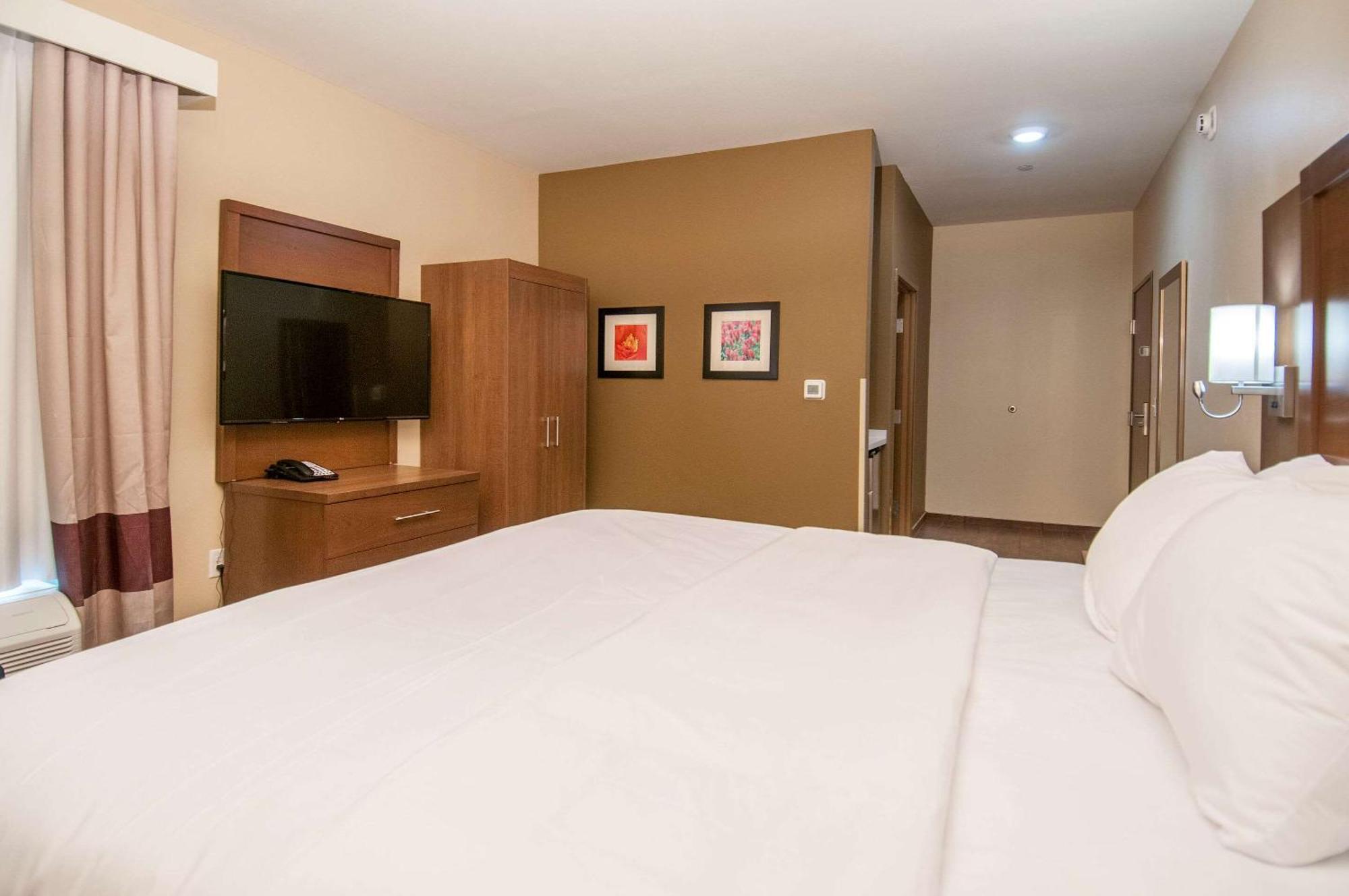 Comfort Inn & Suites Downtown Near University タスカルーサ エクステリア 写真