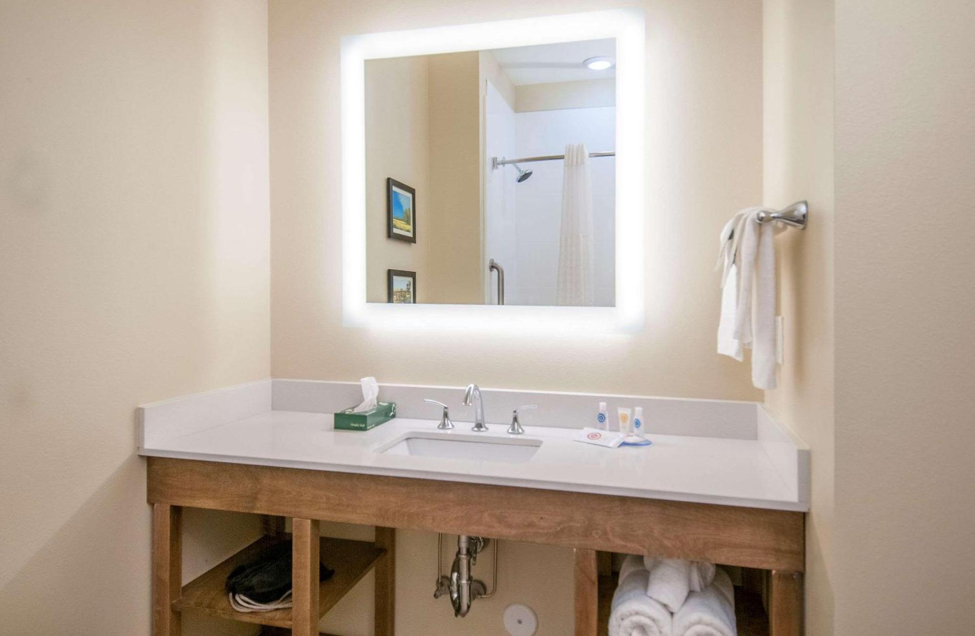 Comfort Inn & Suites Downtown Near University タスカルーサ エクステリア 写真