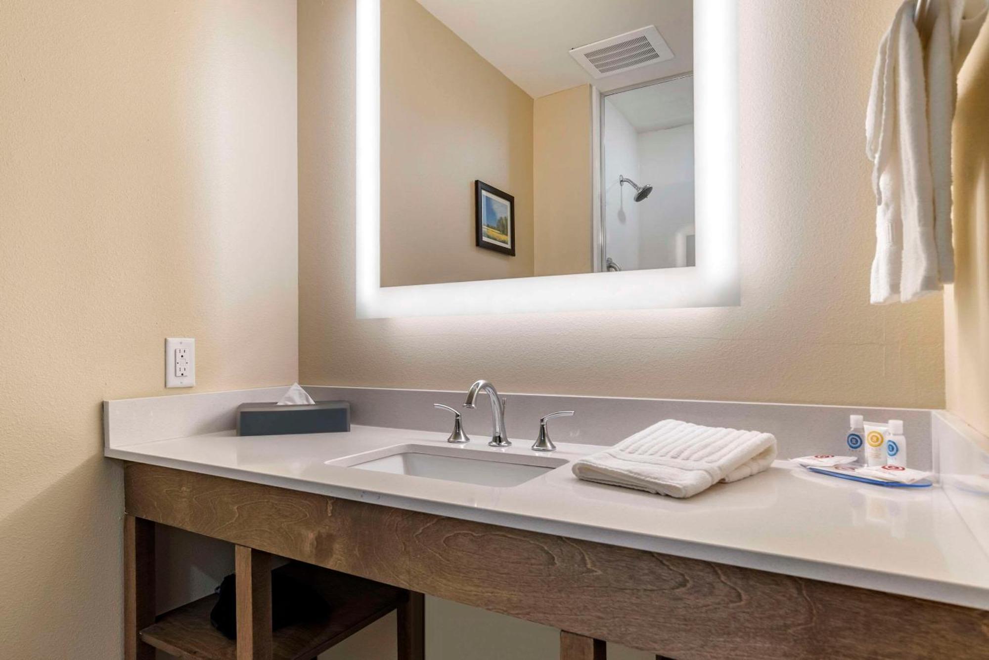 Comfort Inn & Suites Downtown Near University タスカルーサ エクステリア 写真
