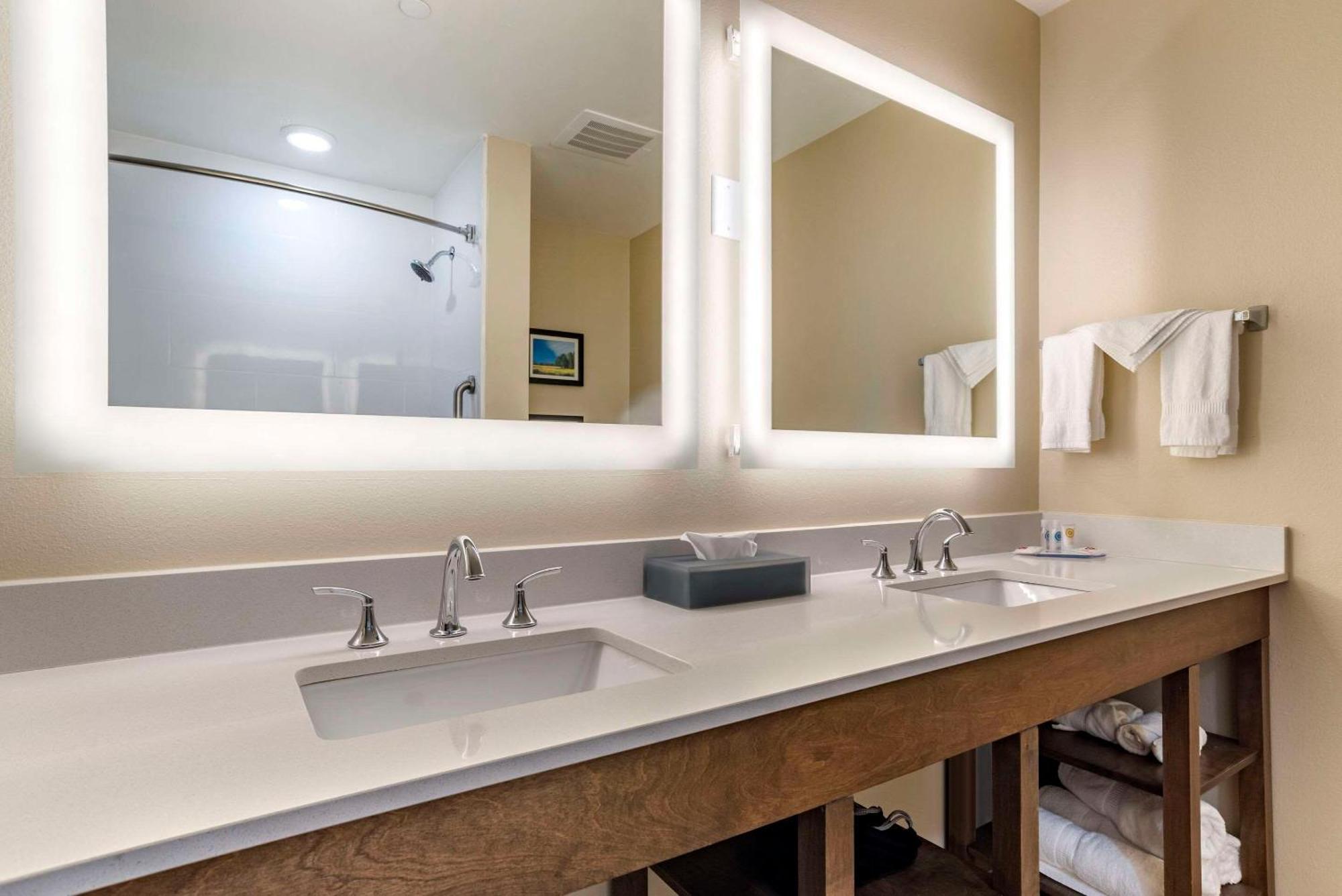 Comfort Inn & Suites Downtown Near University タスカルーサ エクステリア 写真